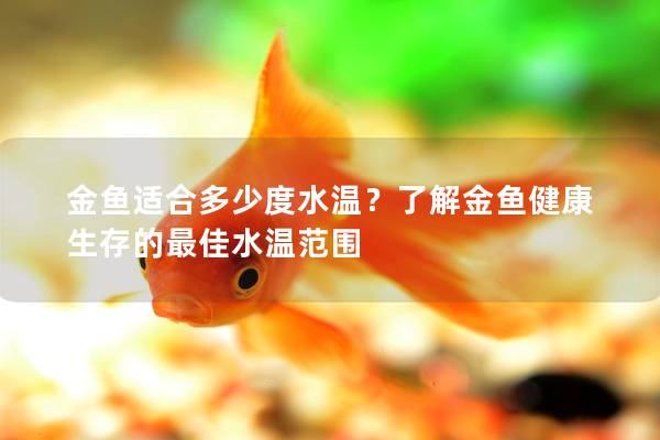 金魚適合多少度水溫？了解金魚健康生存的最佳水溫范圍